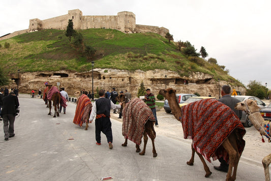 Gaziantep Ipekyolu Kervanı